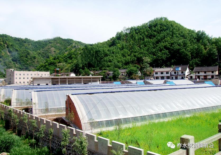 温暖万家灯火共赴小康之约,柞水脱贫攻坚