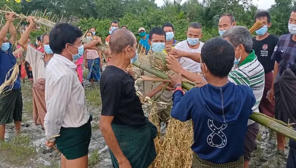 2019年，缅甸蟒蛇舍命报恩，冷血动物也有温情一面