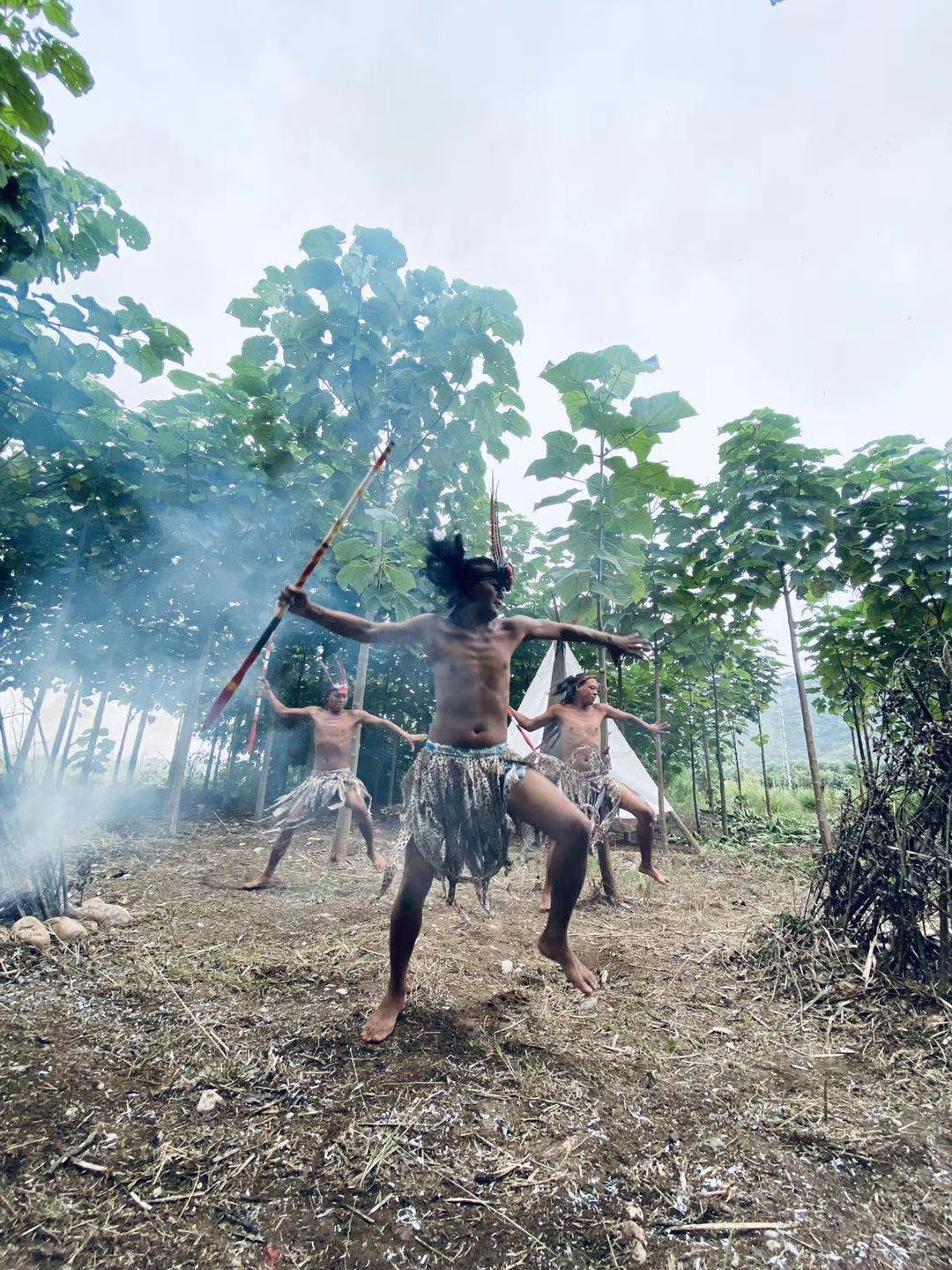 井陉豌豆农庄视频,河北省井陉县豌豆农庄