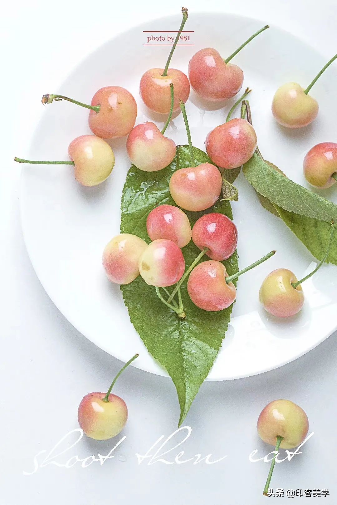 再见虾米背景音乐,再见虾米最新音乐