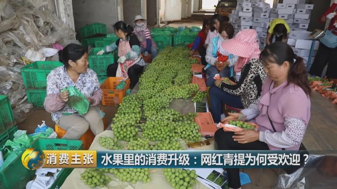 阳光玫瑰葡萄水果中爱马仕,阳光玫瑰葡萄有多贵