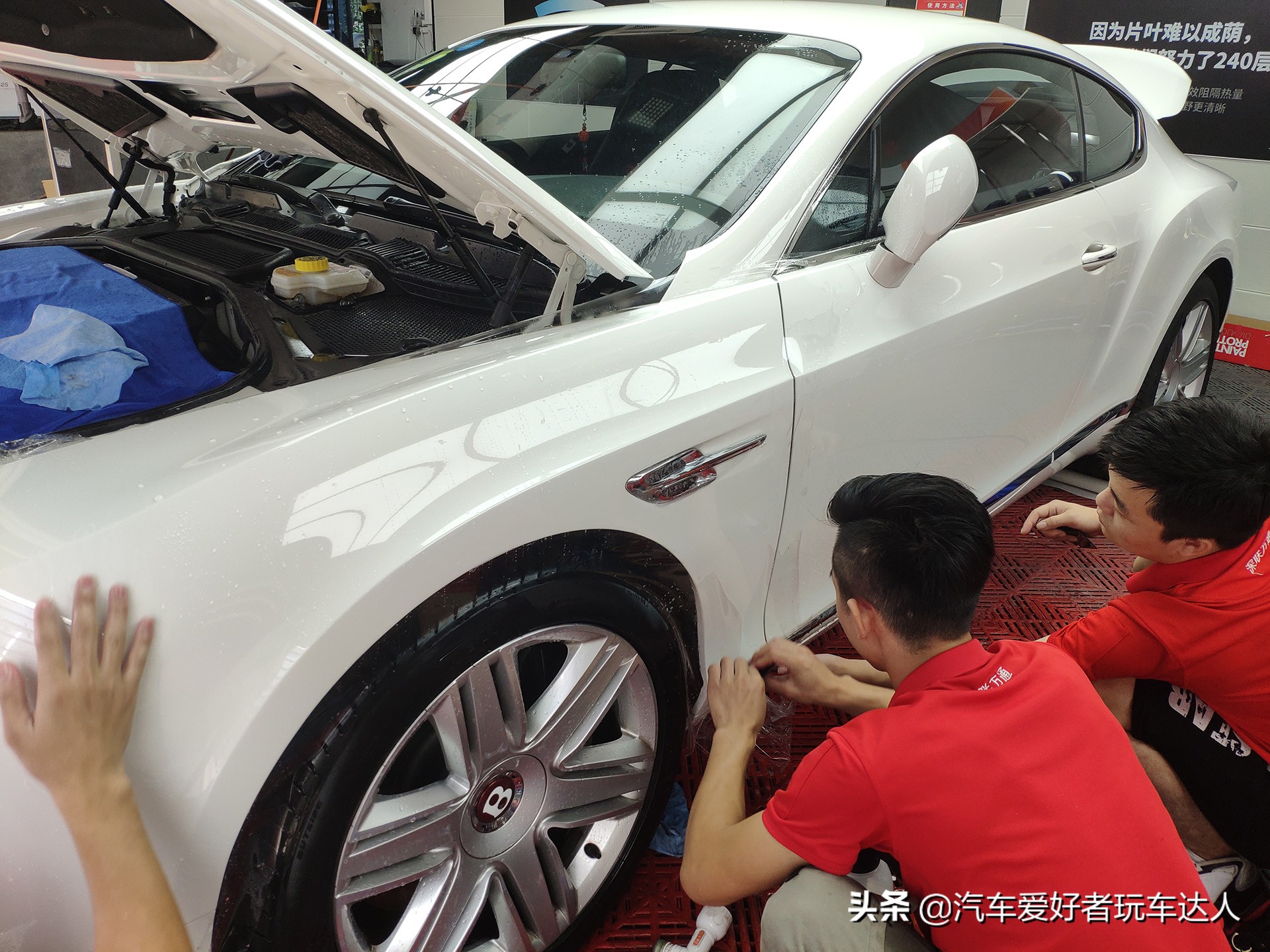 宾利欧陆顶级车衣,宾利欧陆汽车贴膜颜色大全