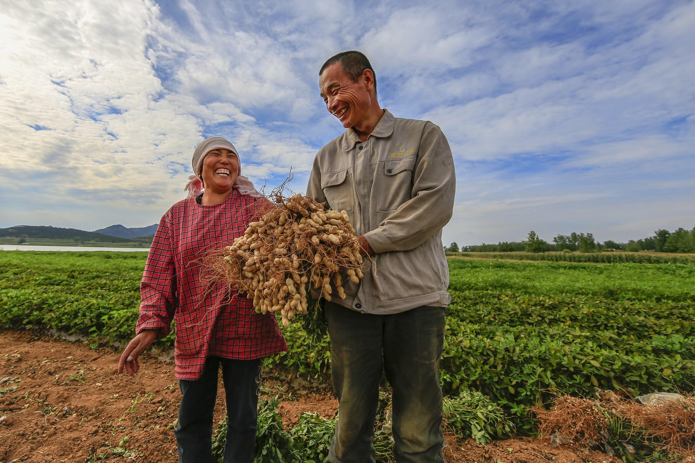临沂市关于乡村振兴,临沂乡村振兴观摩莒南