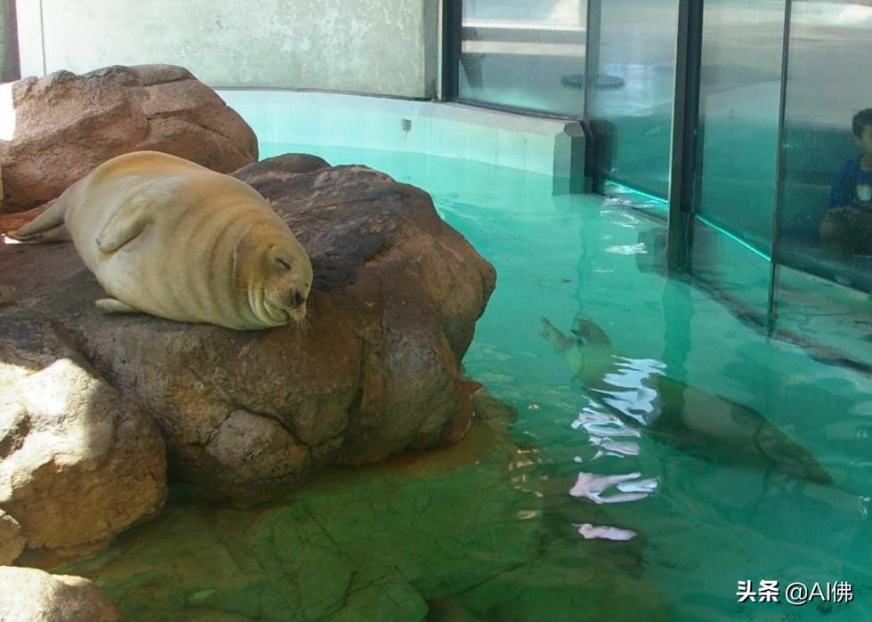 美国西部旅游必去景点推荐,美国东部值得去的景点排名