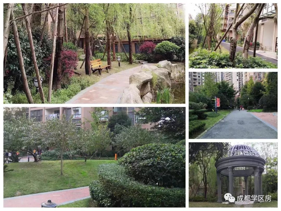 天府新区好的学区房有哪些,天府新区小学排名及周边楼盘