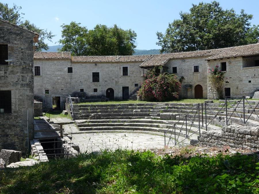 迭戈阿曼多马拉多纳,阿曼多迭戈