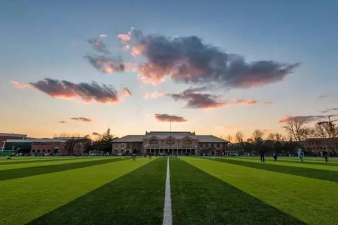 看了冬奥会感受,看了奥运会