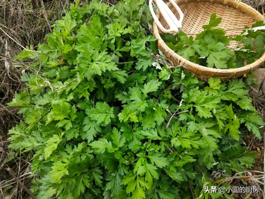 最简单的清明果的做法和吃法,清明果最正宗的甜味做法