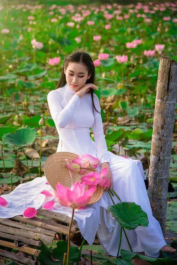 出淤泥而不染荷花之美,如果你是一朵出淤泥而不染的荷花