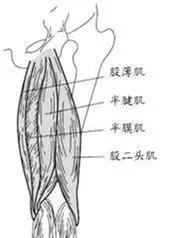 怎样知道大腿拉伤,怎能知道大腿前侧肌肉拉伤