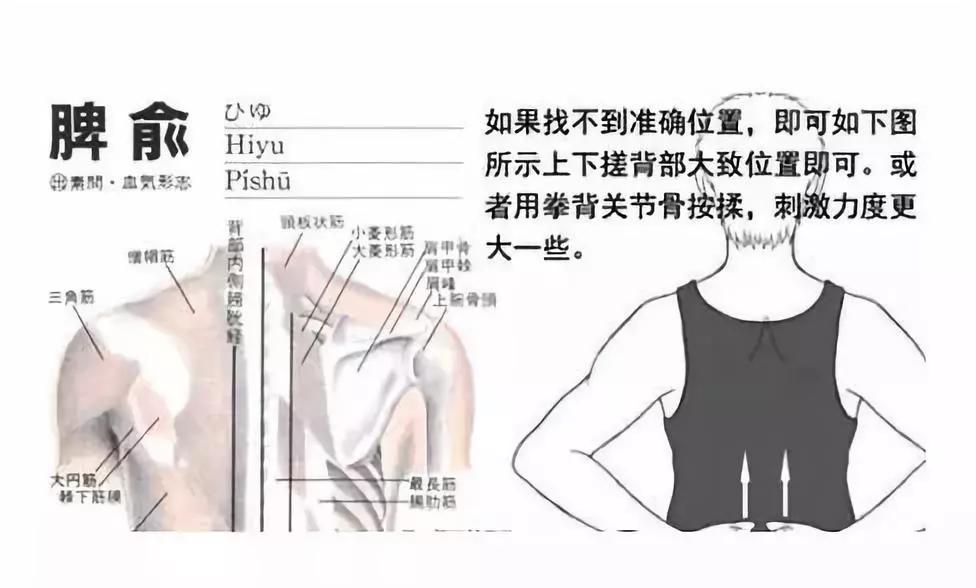 中医面部埋线美容,中医治疗面部斑