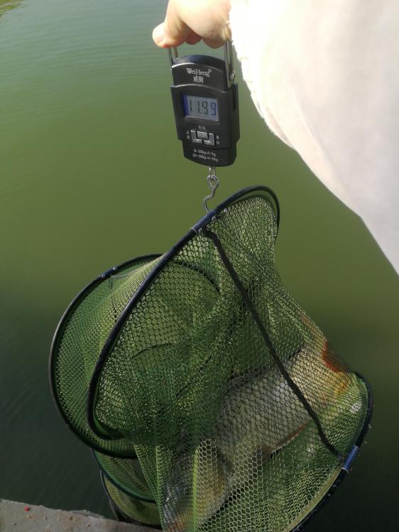 新手选鱼竿怎么选,新手怎么选鱼竿最合适