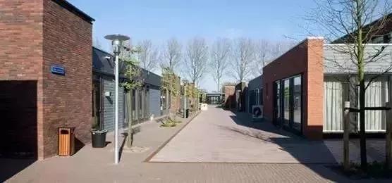 世界上最伟大的*局骗**：152名老人被骗8年，却觉得无比快乐