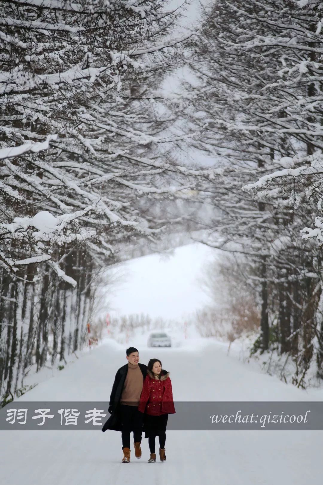 老实说，这一趟北海道就是为了拍好看的照片去的