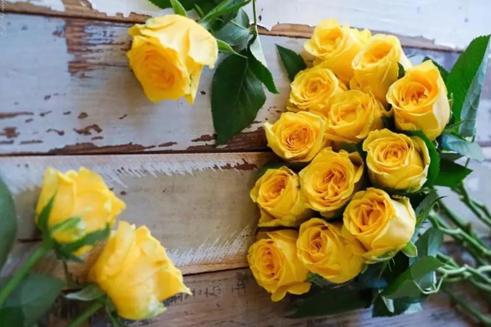 花店必备的5款玫瑰,花店常用的10款玫瑰花是哪些品种