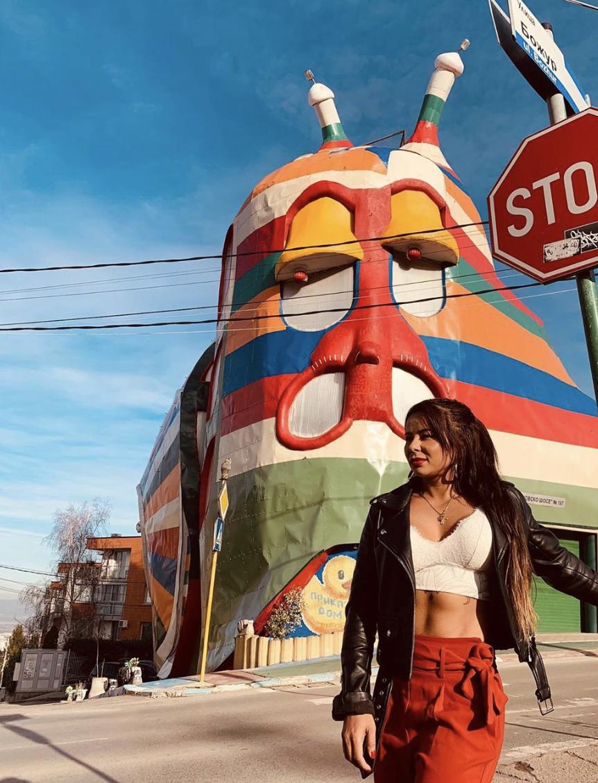 看了就想养的宠物,看了就想抱的宠物