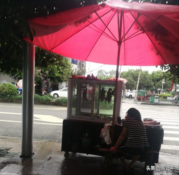 重庆市铜梁区太平镇谭世容,重庆市铜梁区太平镇太平小区