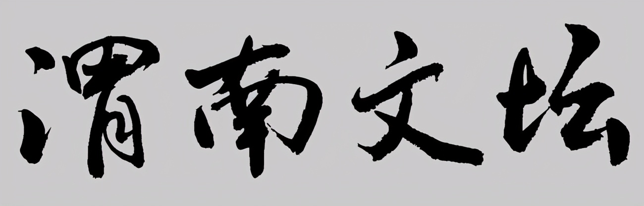 渭南文坛｜王泽博：我为啥爱踢球