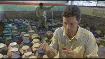 眼镜王蛇有多厉害?如果把它放到非洲会怎样,还能不能称霸一方?