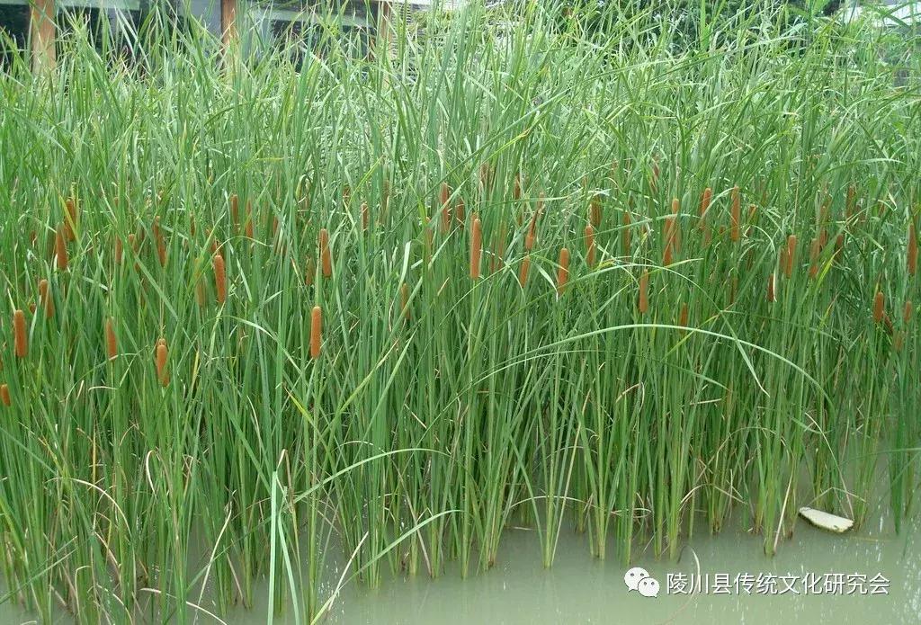 晋城陵川“蒲水”：这里是神仙住的地方