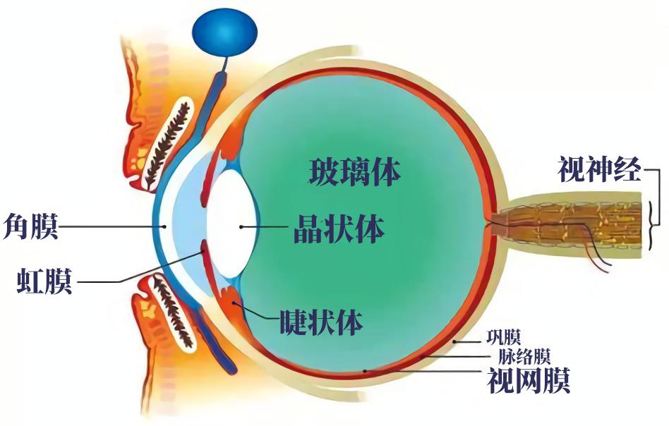 干燥剂引发的问题,干燥剂哪种是有毒的