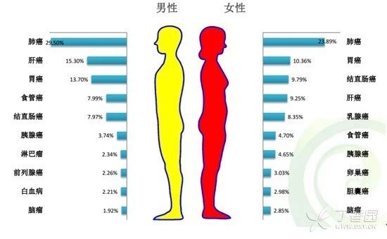 ctc检测出癌细胞要马上用靶向药吗,ctc检查活检最坏的结果