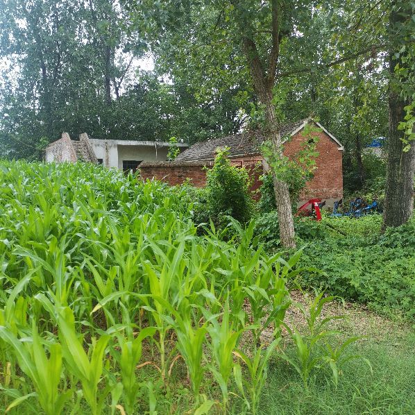 记忆中的安徽农村,安徽农村最落后的地方