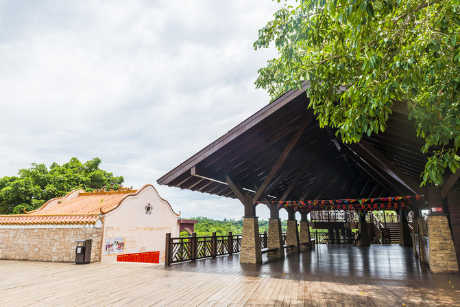 在这个阳光明媚的春季,在这个阳光灿烂的日子里