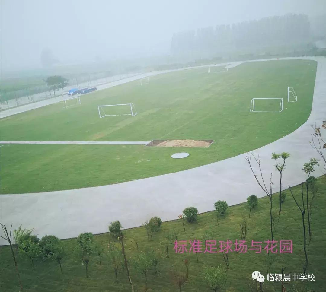 临颍第一所公立寄宿制学校,临颍县城中小学