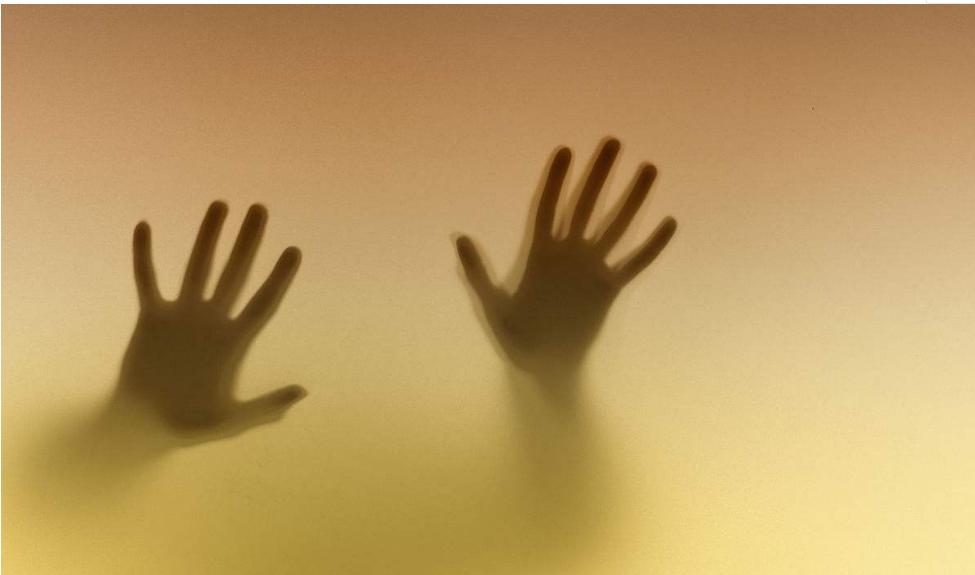 我信你个鬼合拍图片,我信你个鬼全部视频