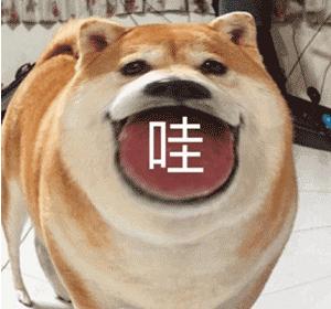 冷军最贵废旧铁桶,冷军烂铁桶图片