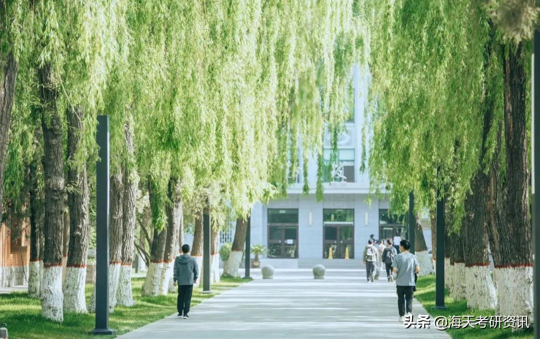 兰州大学容易骑骆驼吗,兰州大学哪个校区骑骆驼