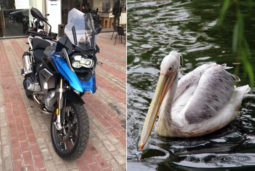 宝马r1250gs哪一年值得购买,宝马r1250gsadv怎么选