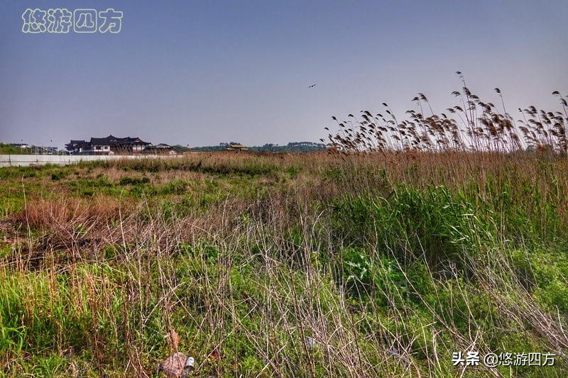 无锡灵山大佛当年投资的人亏了吗,无锡灵山大佛耗资26亿打造