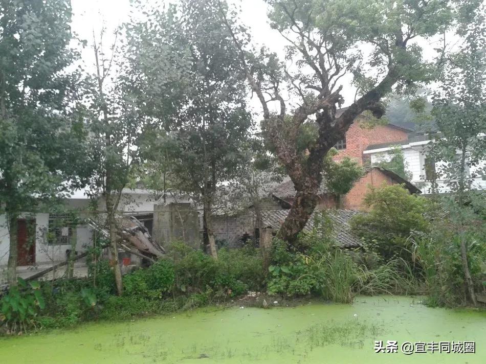 这些失传已久的童谣你还记得吗,这些即将消失的老行当你还记得吗