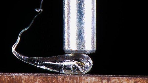 10个让人震惊的冷知识,最有趣的10条冷知识点