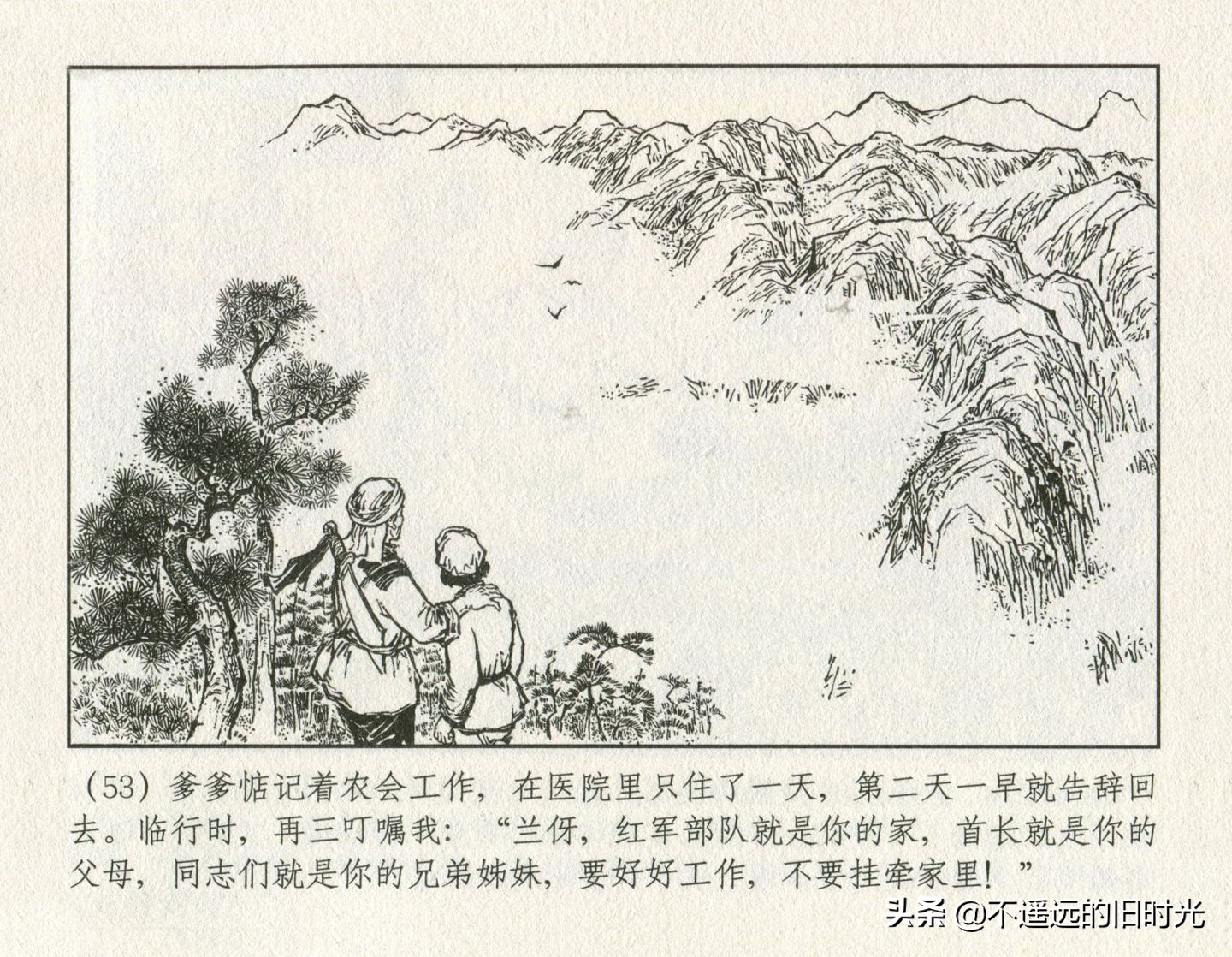 朝阳花-上海人民美术出版社1981初版2016再版陆成法陆小弟绘