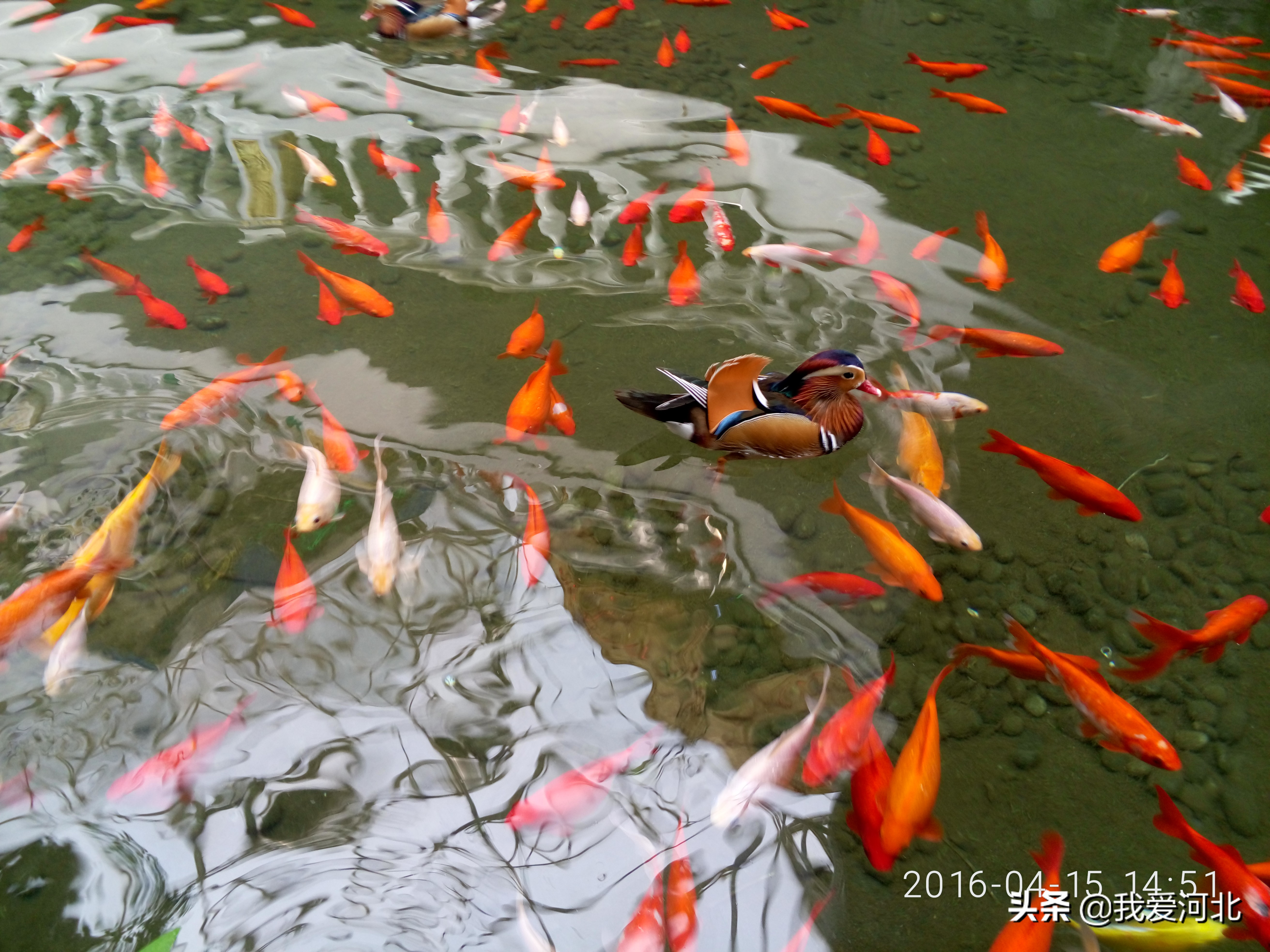 石家庄避暑纳凉的景点,石家庄空中花园好玩吗