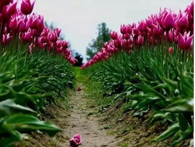 善良是一个人最大的实力,善良是一个人的教养