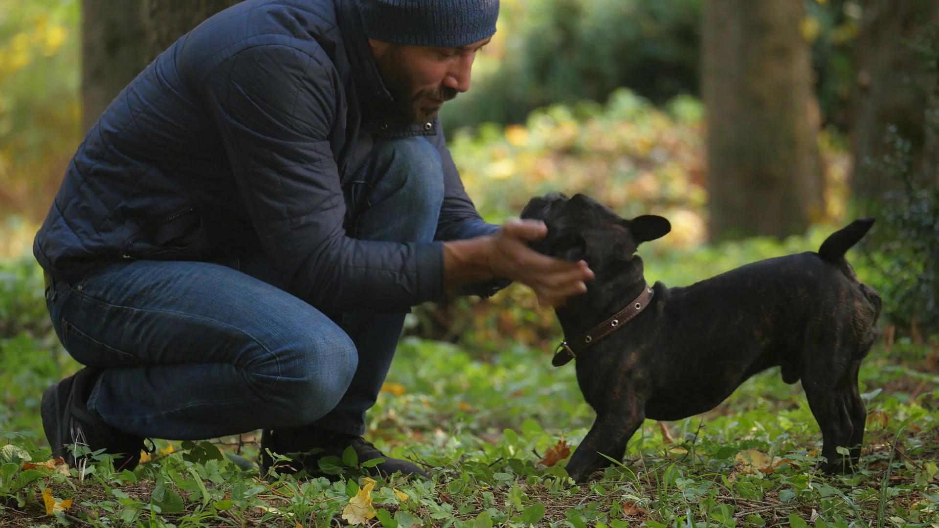 抚摸狗狗会产生多巴胺和血清素吗,摸狗真的可以降低高血压吗