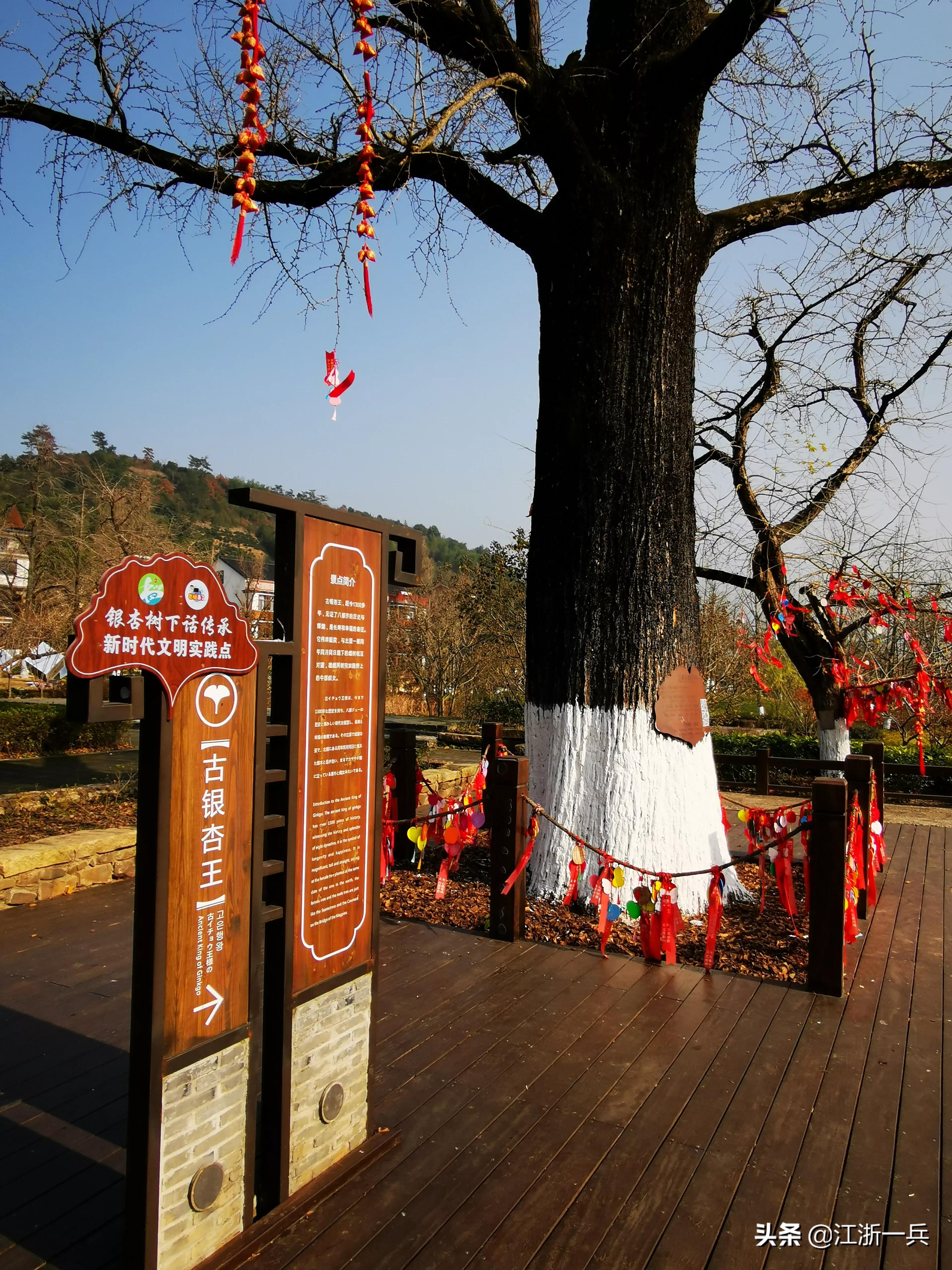 春游八都岕,长兴八都岕春游