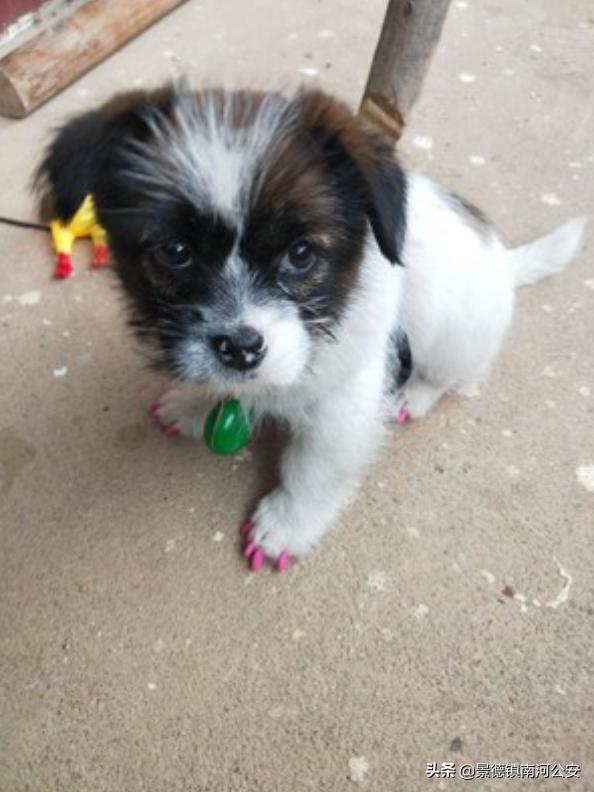 “割声带、截肢、电击，当爱变成我的噩梦”