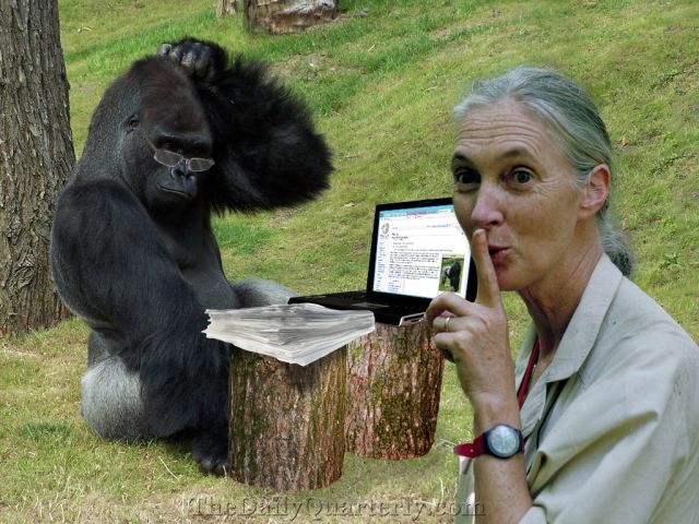 珍妮·古道尔人物简介,珍妮古道尔动物发明家