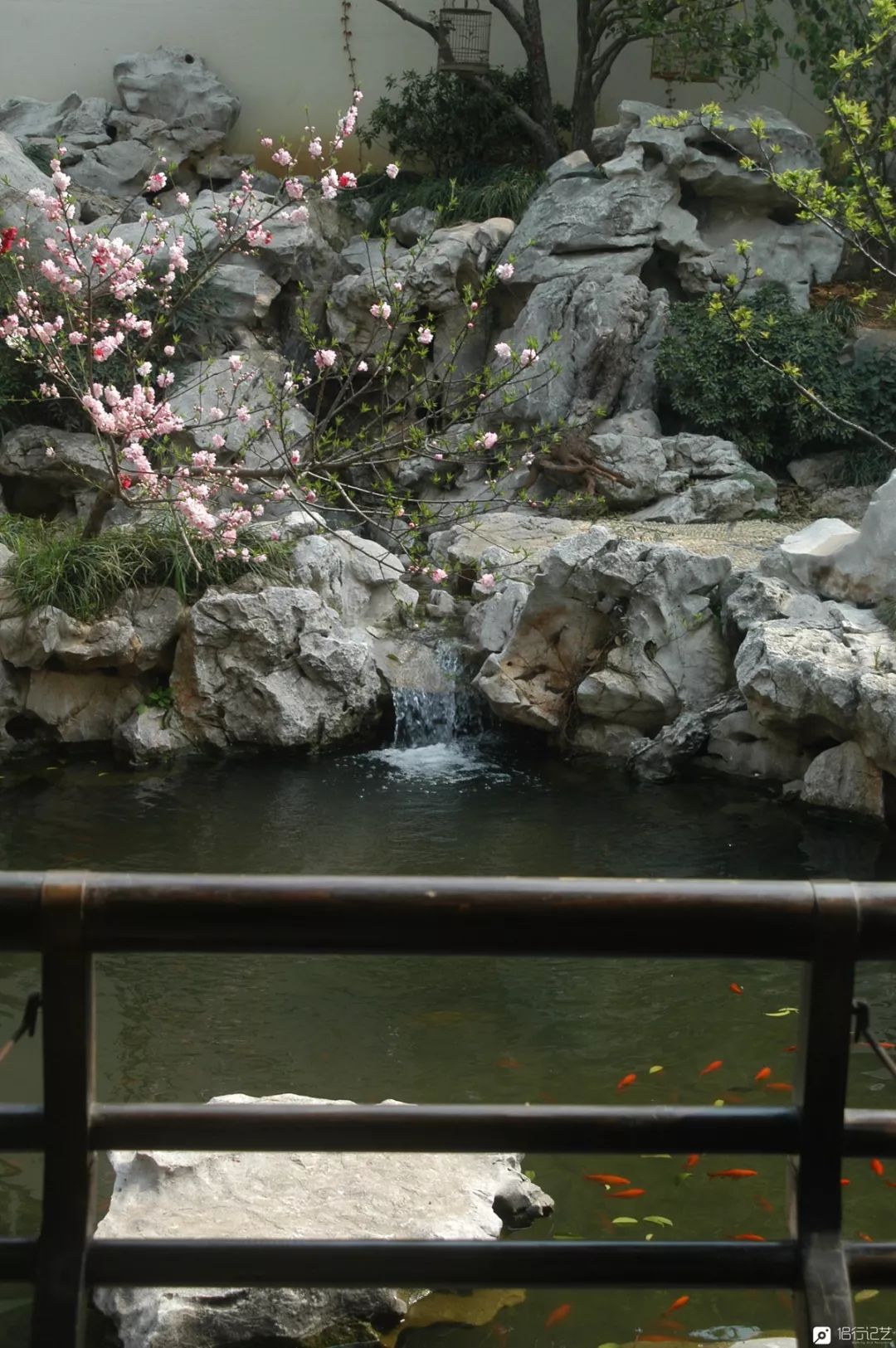 大叔花700万建的花园别墅,太湖石苏州