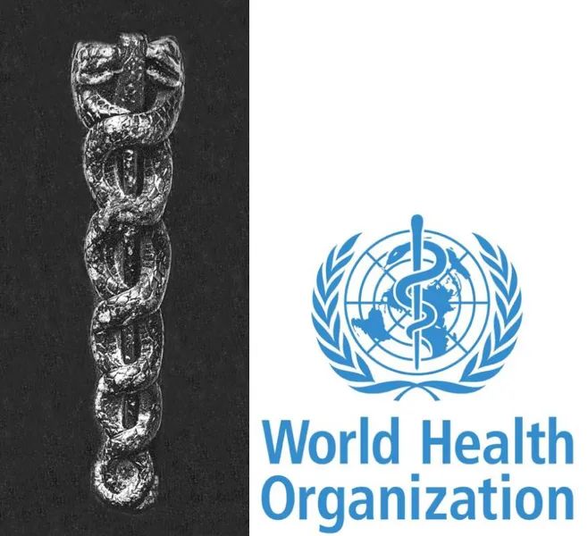 每个民族都有自己独特的文化吗,少数民族最好的中医