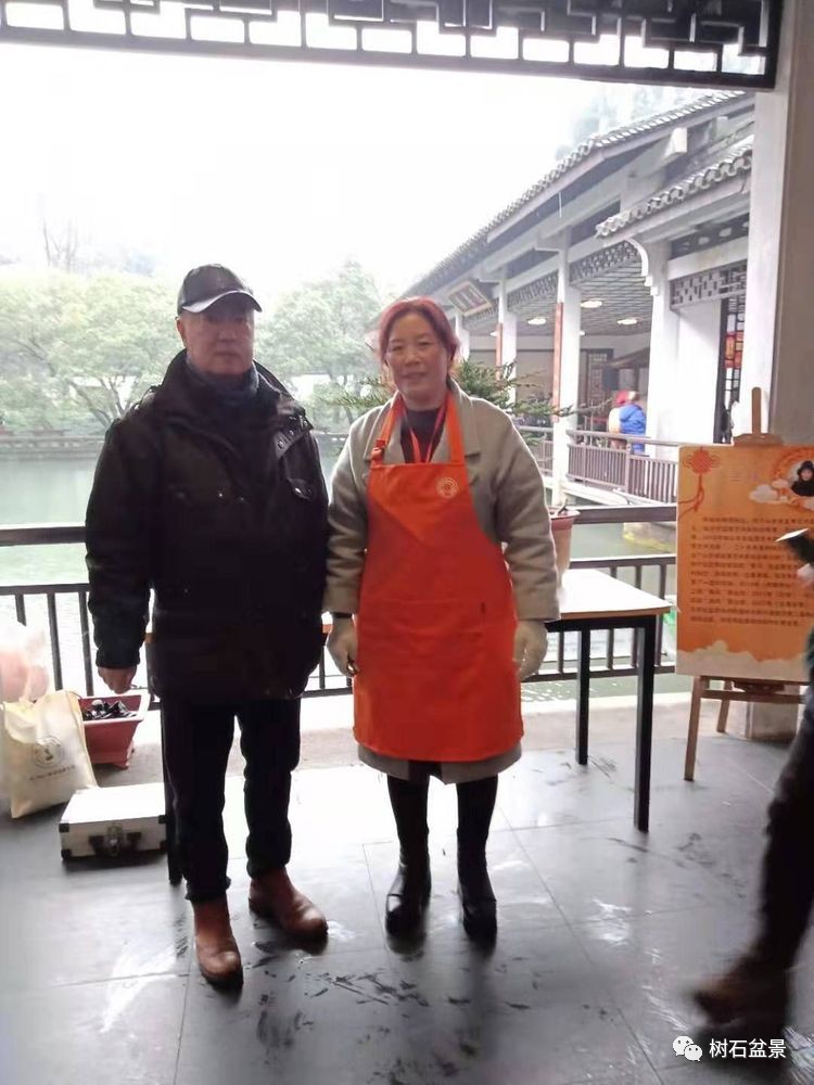 金艳盆景精品欣赏,幸得一知己