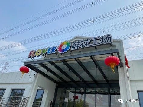 过年必逛花卉市场,北京值得去的花卉市场