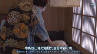 大家都在争抢猫爪杯？吸猫的最高境界，带着摄影机“猫步走天下”