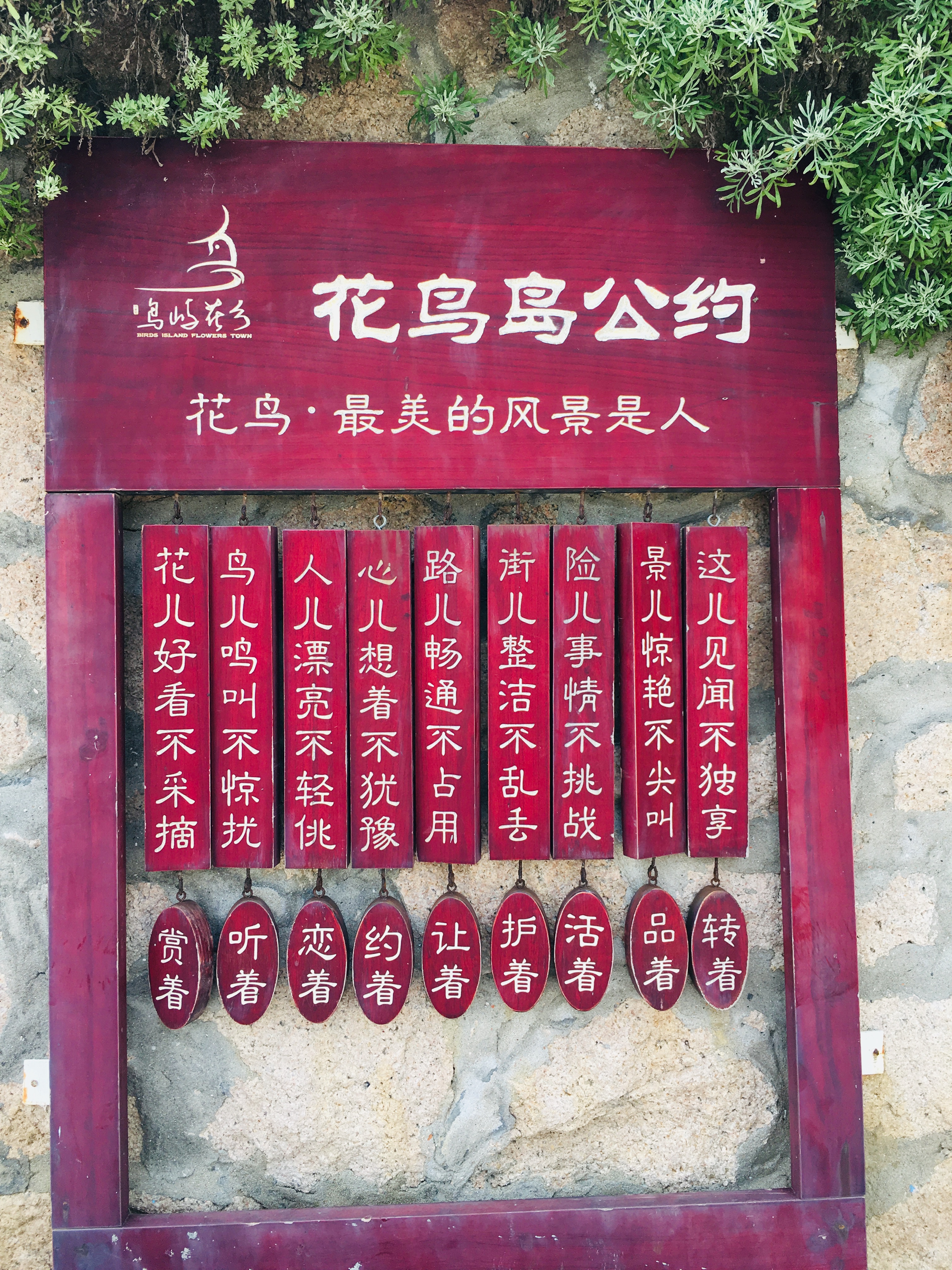 圣托里尼最美荧光海 (圣托里尼荧光海)