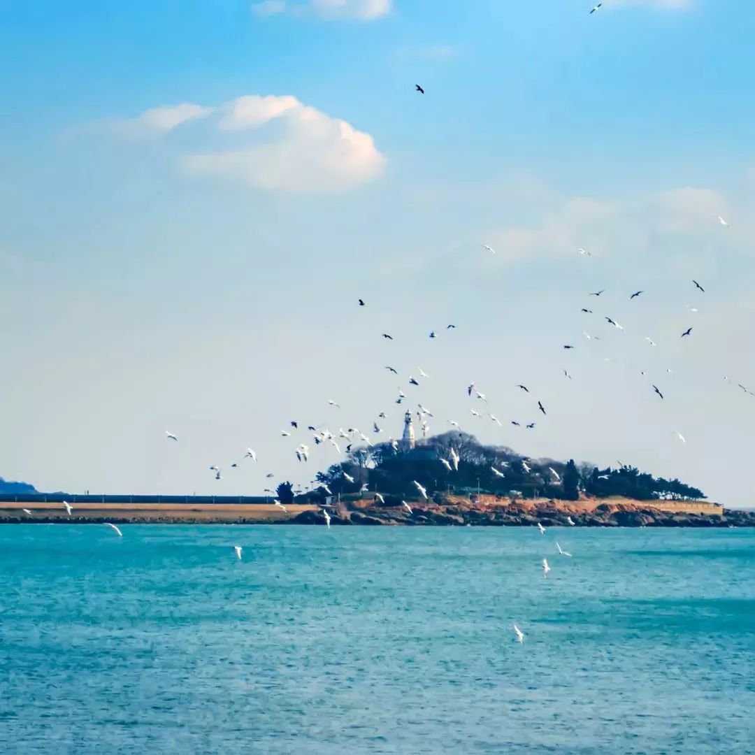 青岛13号线网红景点,青岛最值得去的景点和网红打卡点